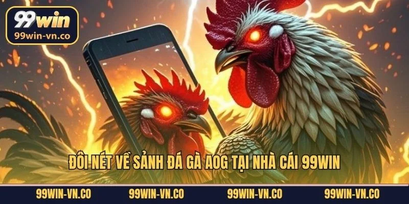 Đôi nét về sảnh đá gà AOG tại nhà cái 99Win