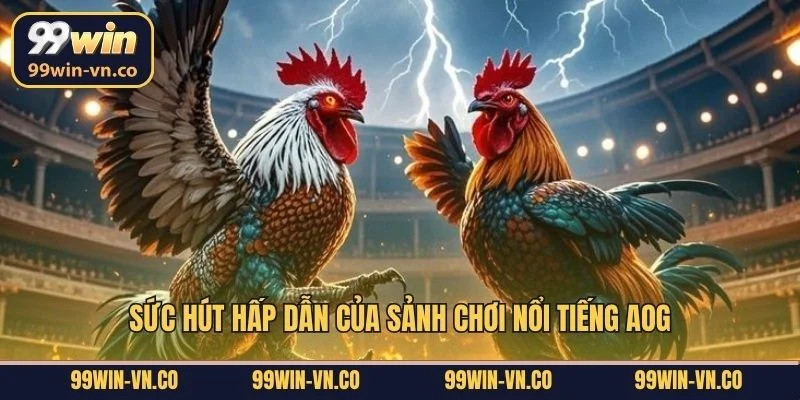 Sức hút hấp dẫn của sảnh chơi nổi tiếng AOG