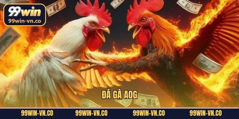 Đá Gà AOG