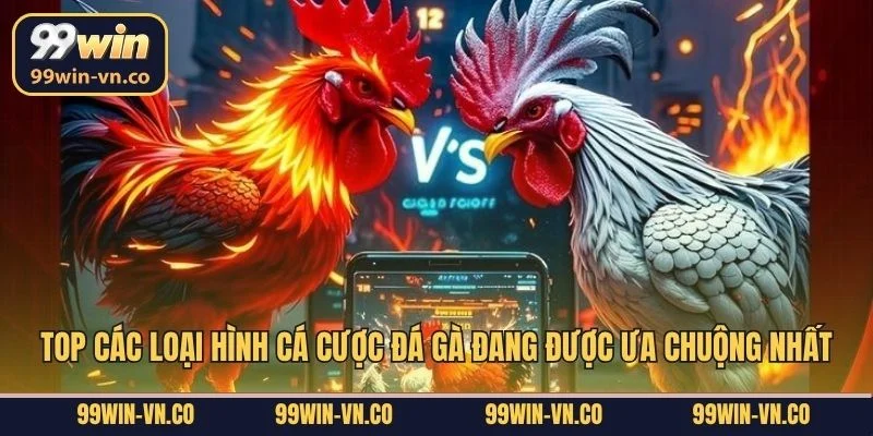 Top các loại hình cá cược đá gà đang được ưa chuộng nhất