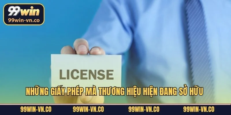 Những giấy phép mà thương hiệu hiện đang sở hữu 