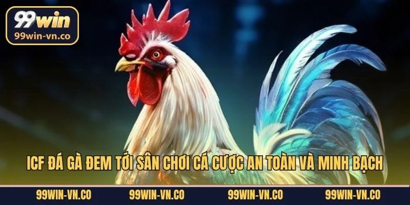 ICF đá gà đem tới sân chơi cá cược an toàn và minh bạch
