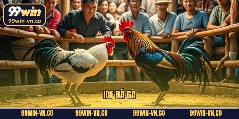 ICF Đá Gà