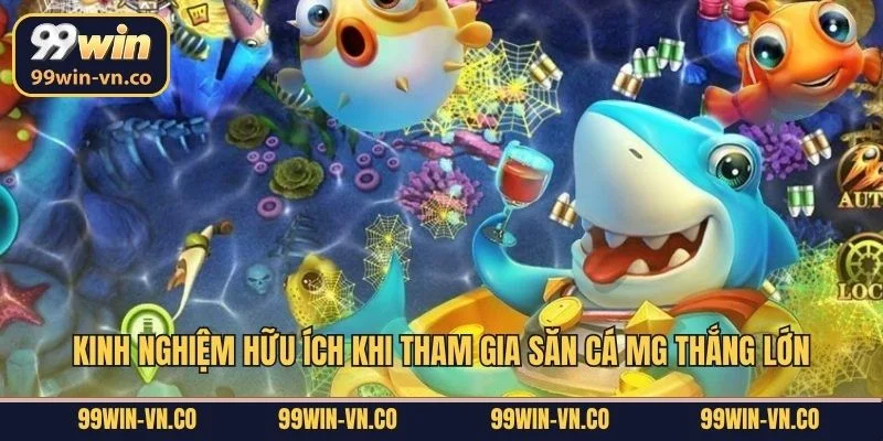 Kinh nghiệm hữu ích khi tham gia săn cá MG thắng lớn