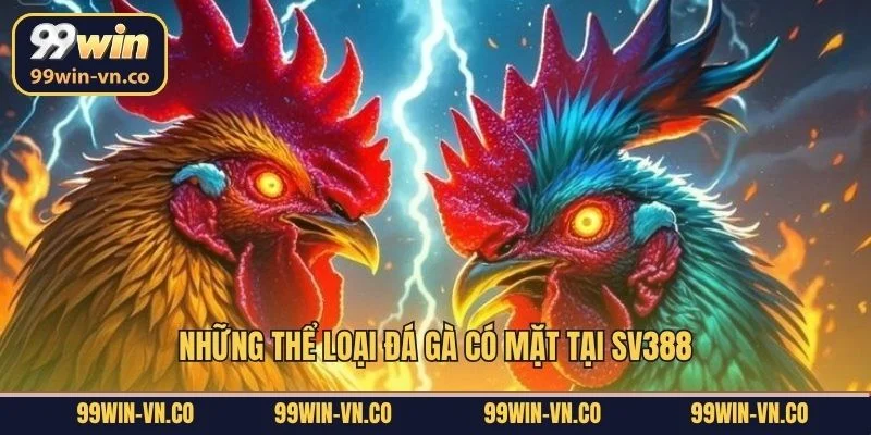 Những thể loại đá gà có mặt tại SV388