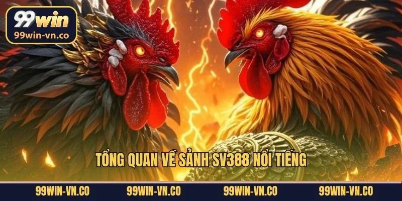 Tổng quan về sảnh SV388 nổi tiếng