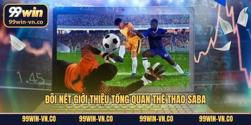 Đôi nét giới thiệu tổng quan thể thao Saba
